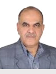 Seyed Naser Saidi